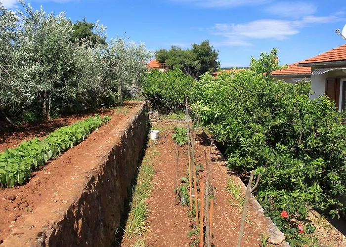 Apartments And Rooms With Parking Space Jelsa, Hvar - 8798 Jelsa (Hvar)